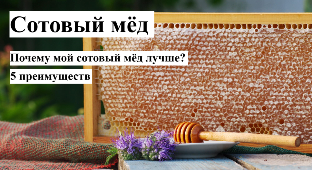 сотовый мед с пасеки Смородино